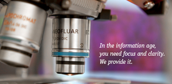 In the information age, you need focus and clarity. We provide it.